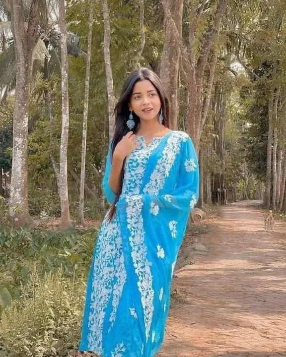 Kashmiri Ari Work Georgette Salwar Kameez